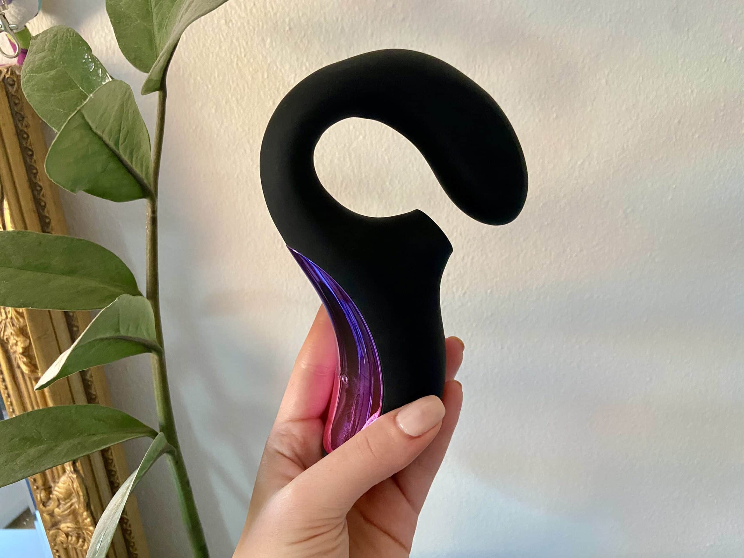 LELO Enigma Cruise